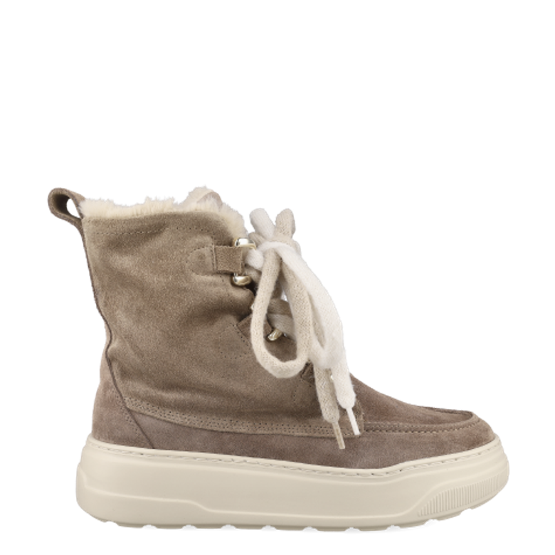 Lüke Schuhe ASTER NOCE Boots in braun