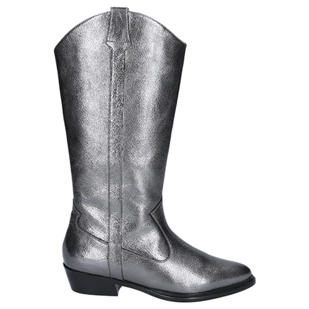 Peter Kaiser 75326 289 Stiefel in metallic