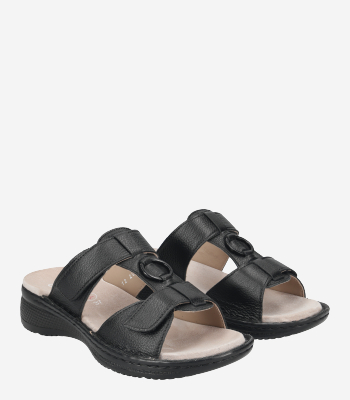 Ara - HAWAII 2.0