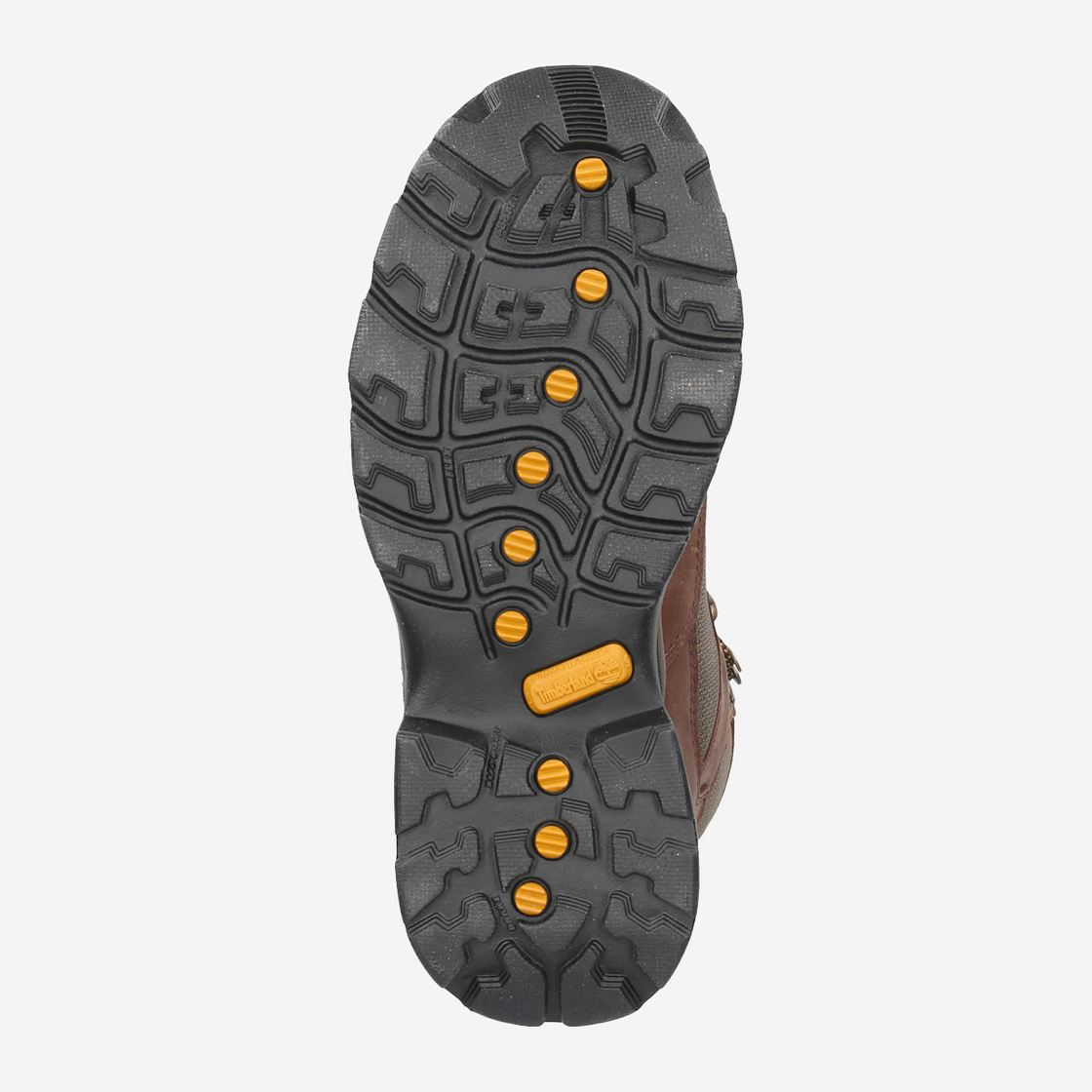 Timberland CHOCORUA TRAIL GORE-TEX - Braun/grün - Sohle