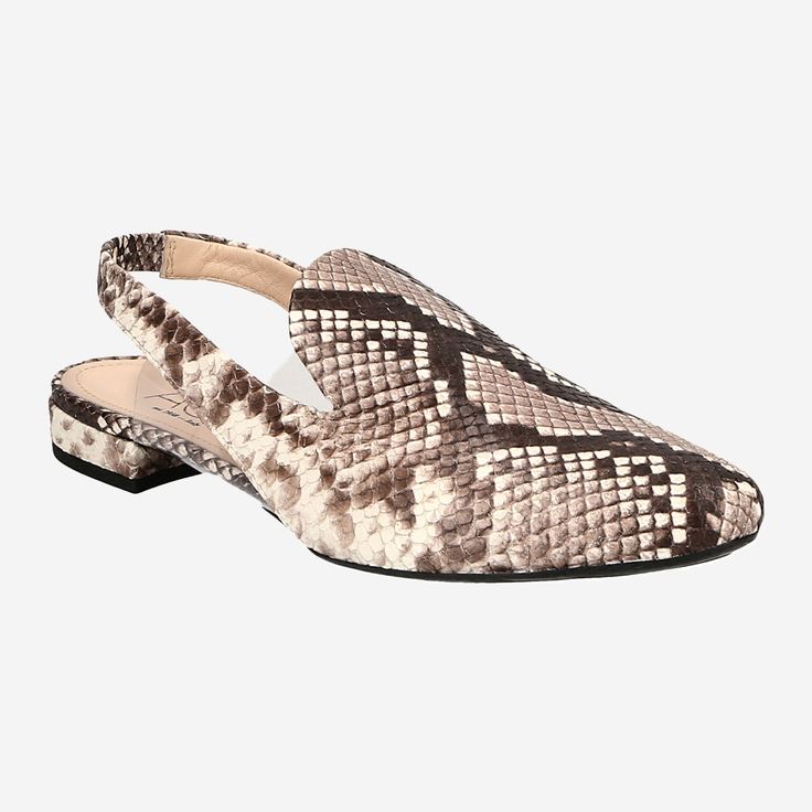 Attilio Giusti D555004PHK6817D316 - Beige kombiniert - Frontansicht
