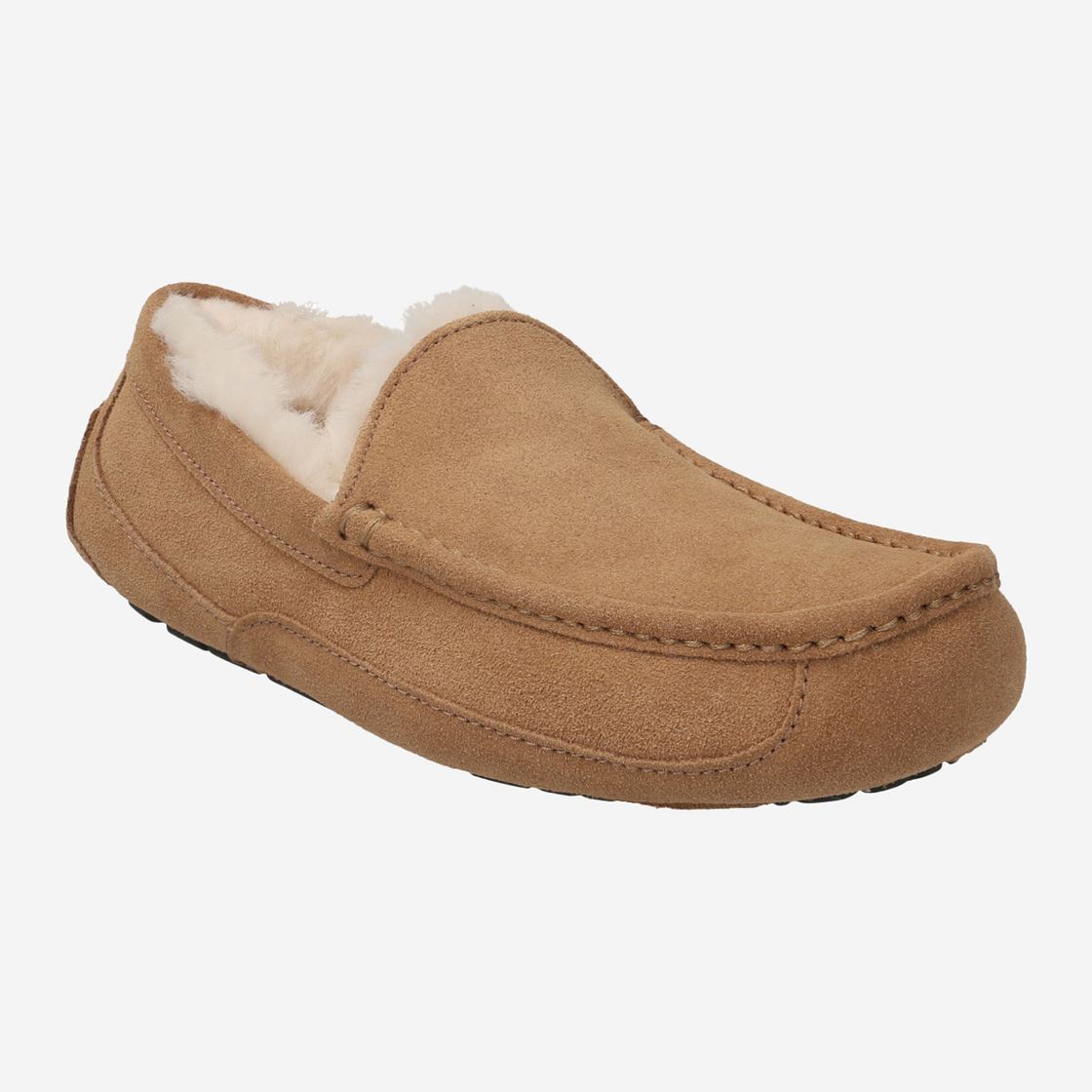 UGG australia ASCOT - Braun - Frontansicht