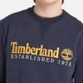 Timberland A65DD LS Est. 1973 Crew BB Sw  - Blau - Rückansicht