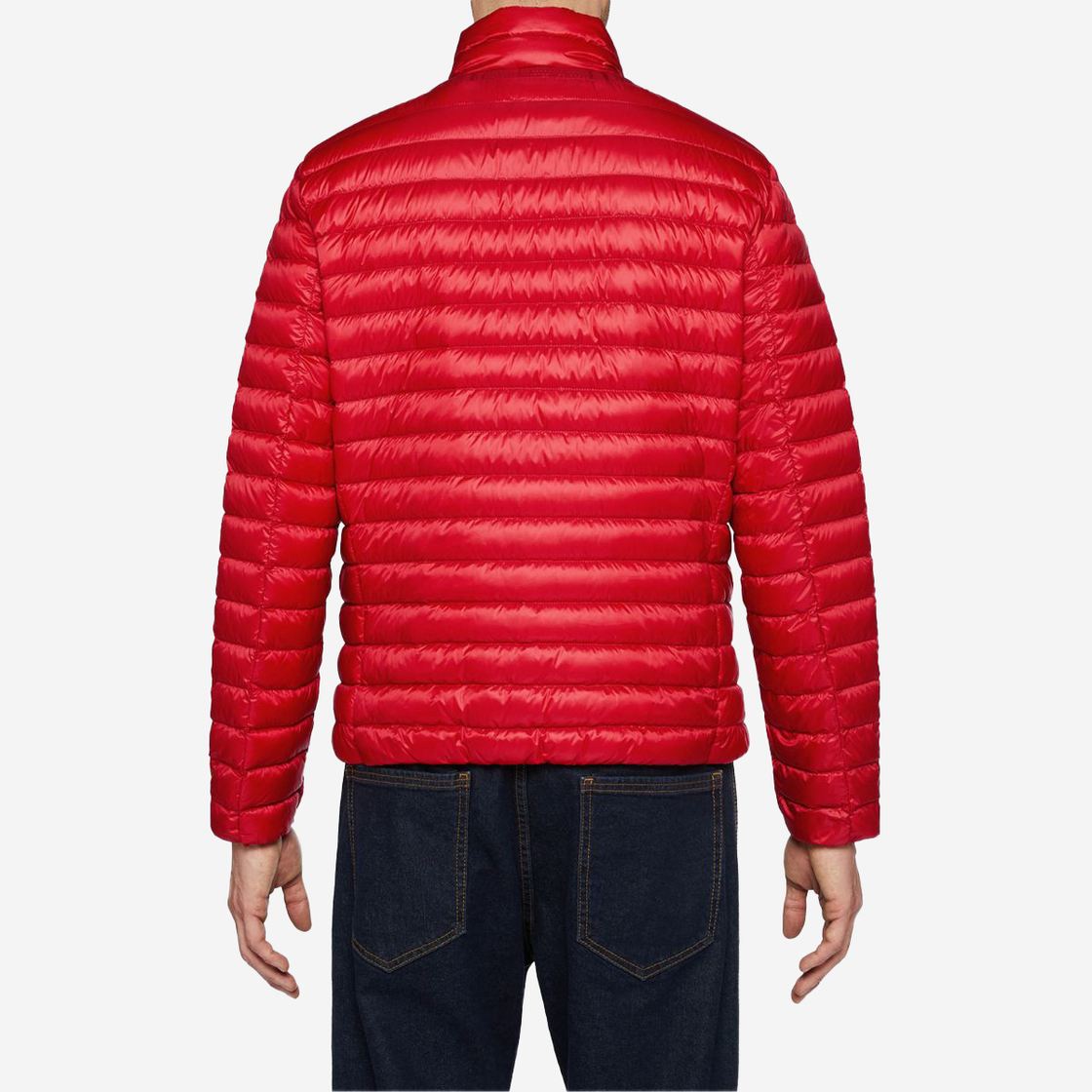 Geox WARRENS SHORT JKT - Rot - Rückansicht