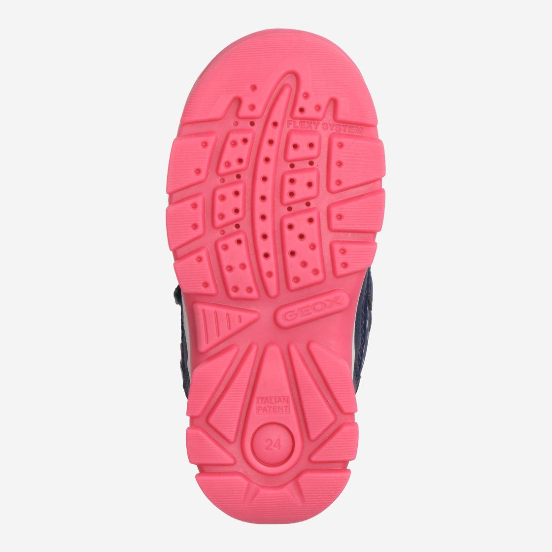 Geox FLANFIL - Blau / Fuchsia - Draufsicht