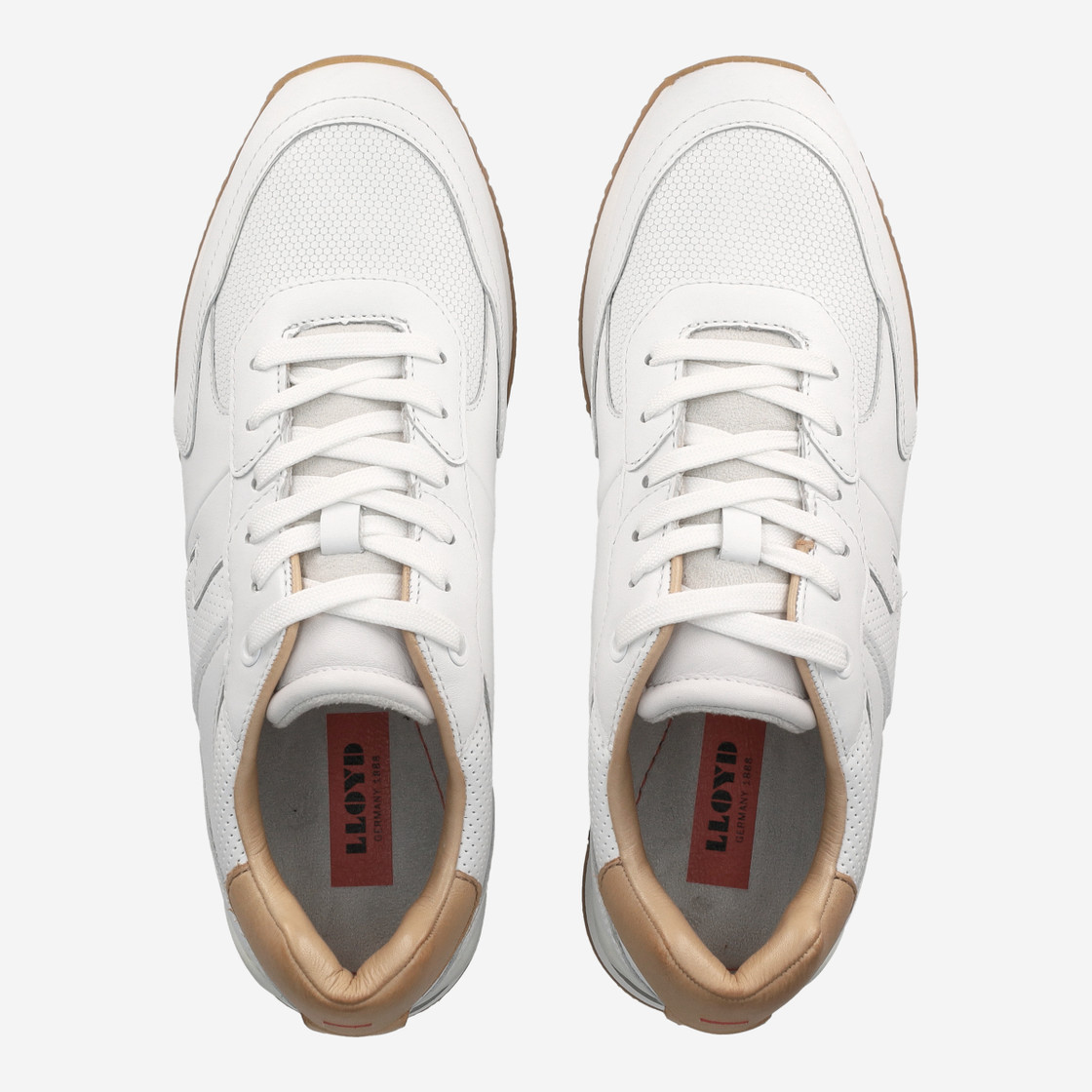 Lloyd ENOS - Weiß - Rückansicht