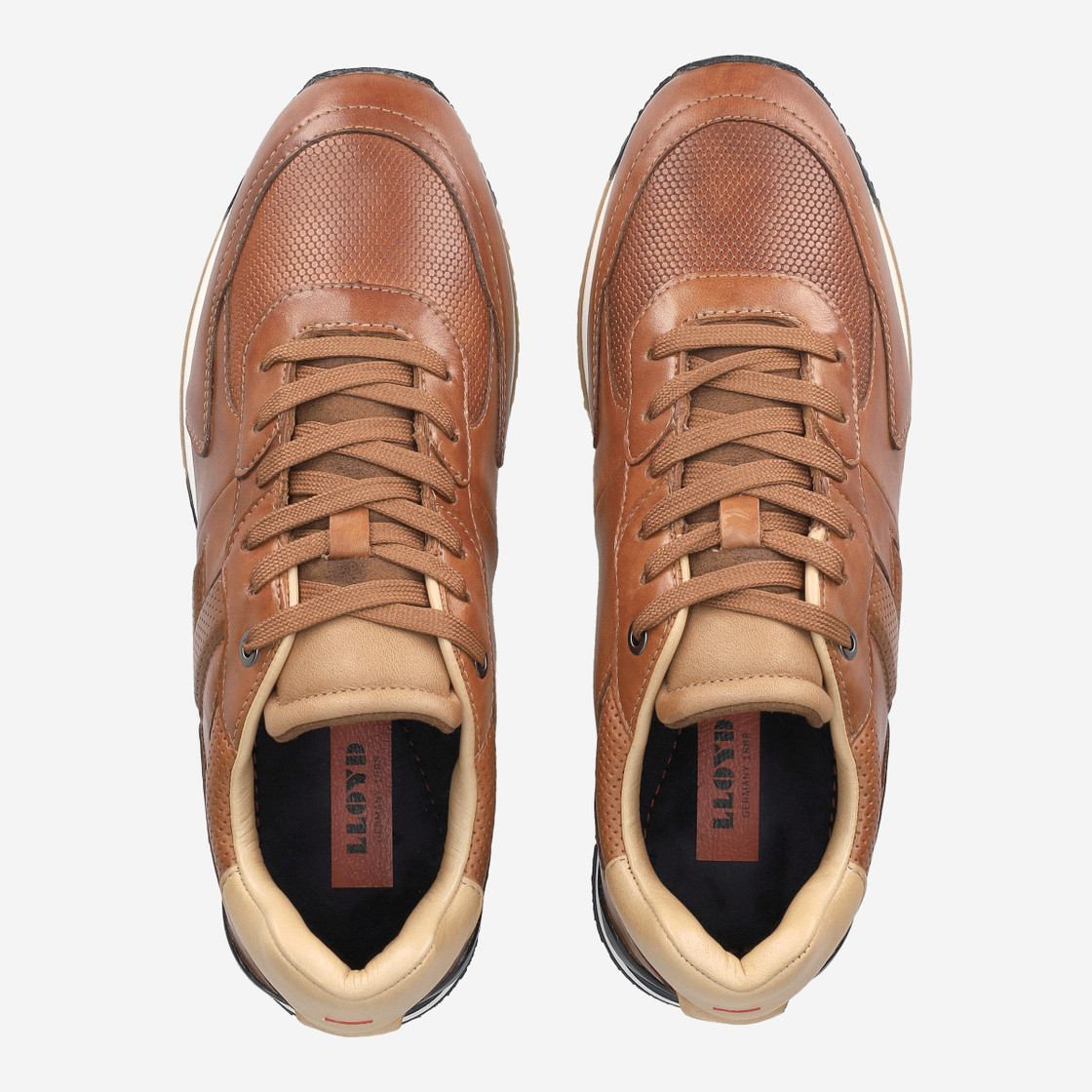 Lloyd ENOS - Braun - Rückansicht