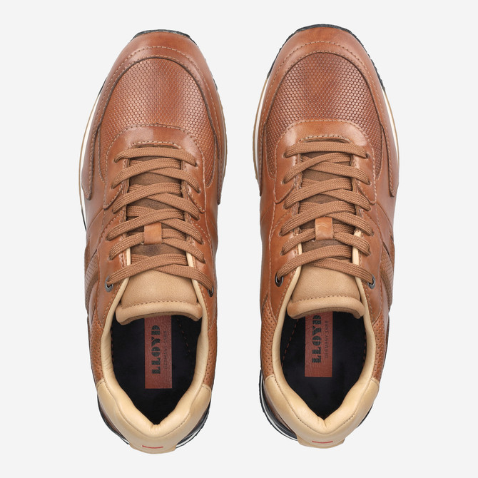 Lloyd ENOS - Braun - Rückansicht