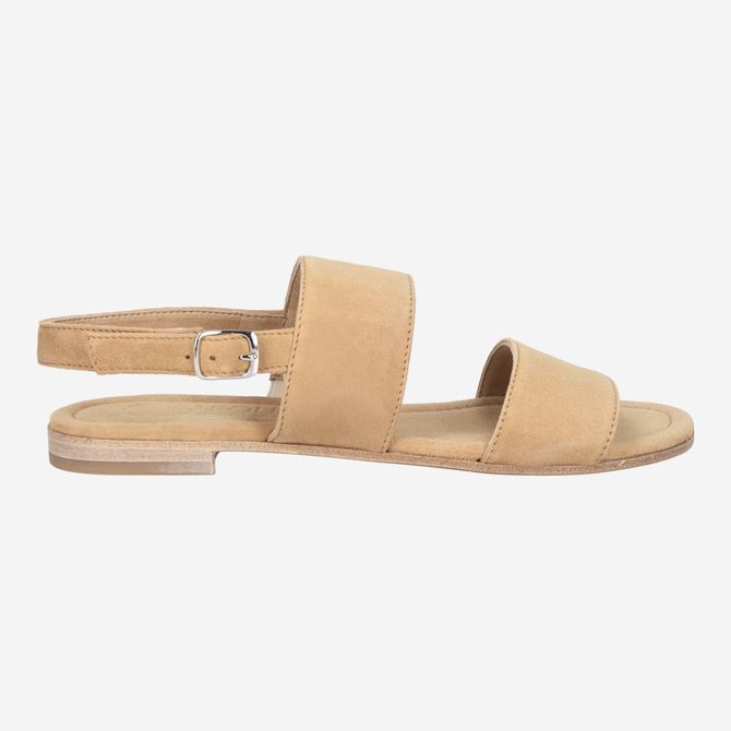 Donna Carolina PERSIA ELEN - Beige - Rückansicht