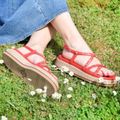 Trumans 4146 204 - Rot