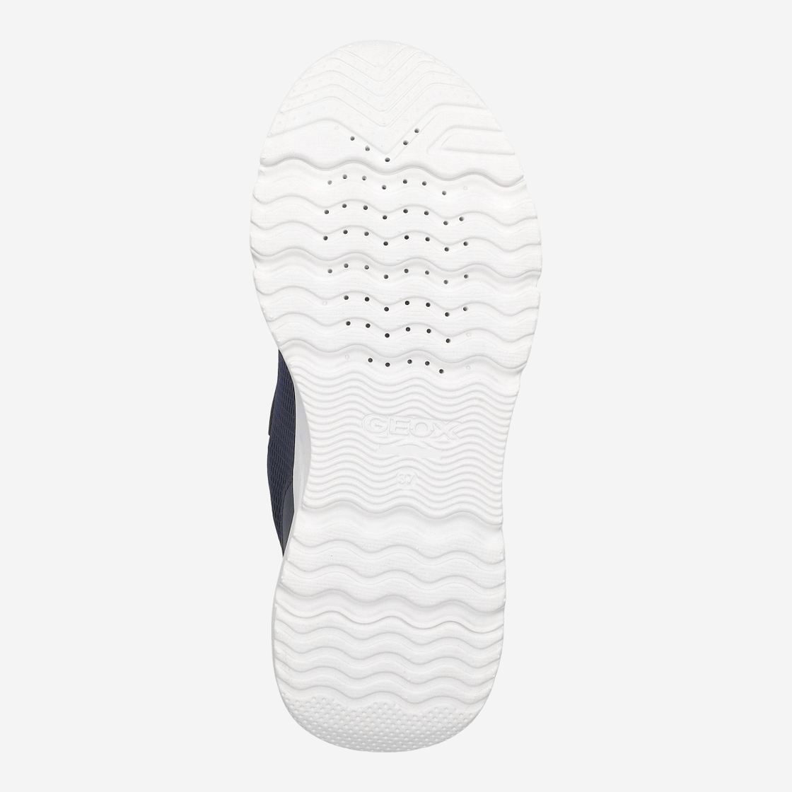 Geox LOFTUS - Blau - Draufsicht