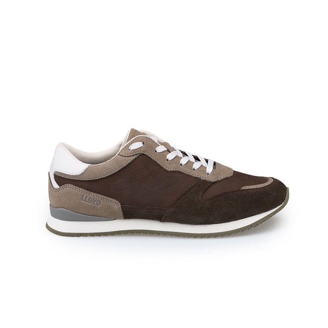 Lloyd SWIFT - Braun / Grau - Rückansicht