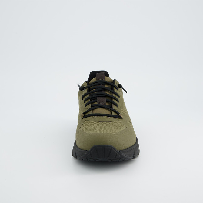 tenhaag stormhaag WP - Grün - Frontansicht