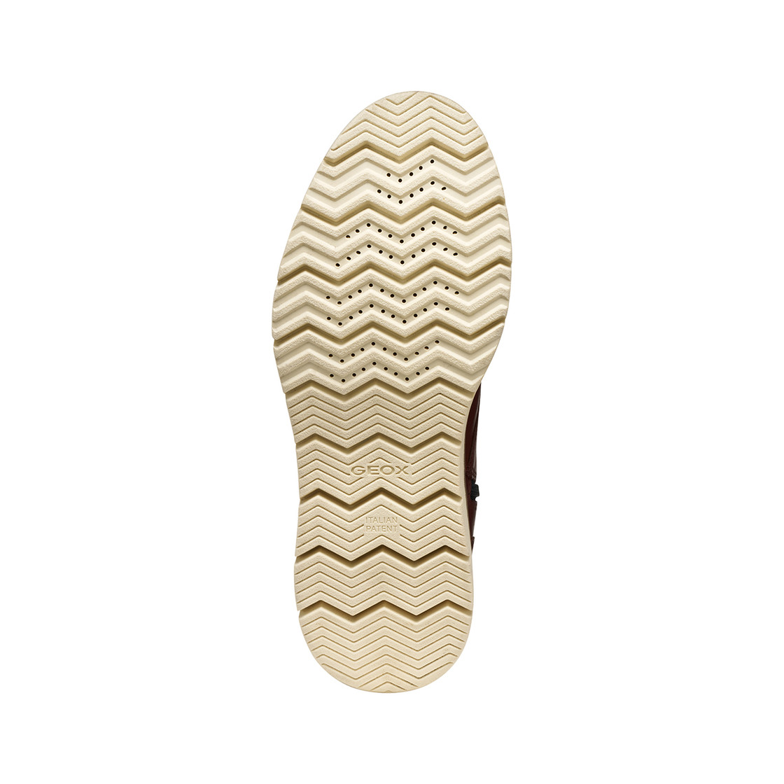 Geox POVE - Braun - Draufsicht