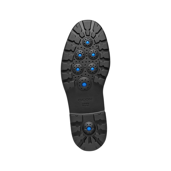 Geox SPHERICA - Braun - Draufsicht