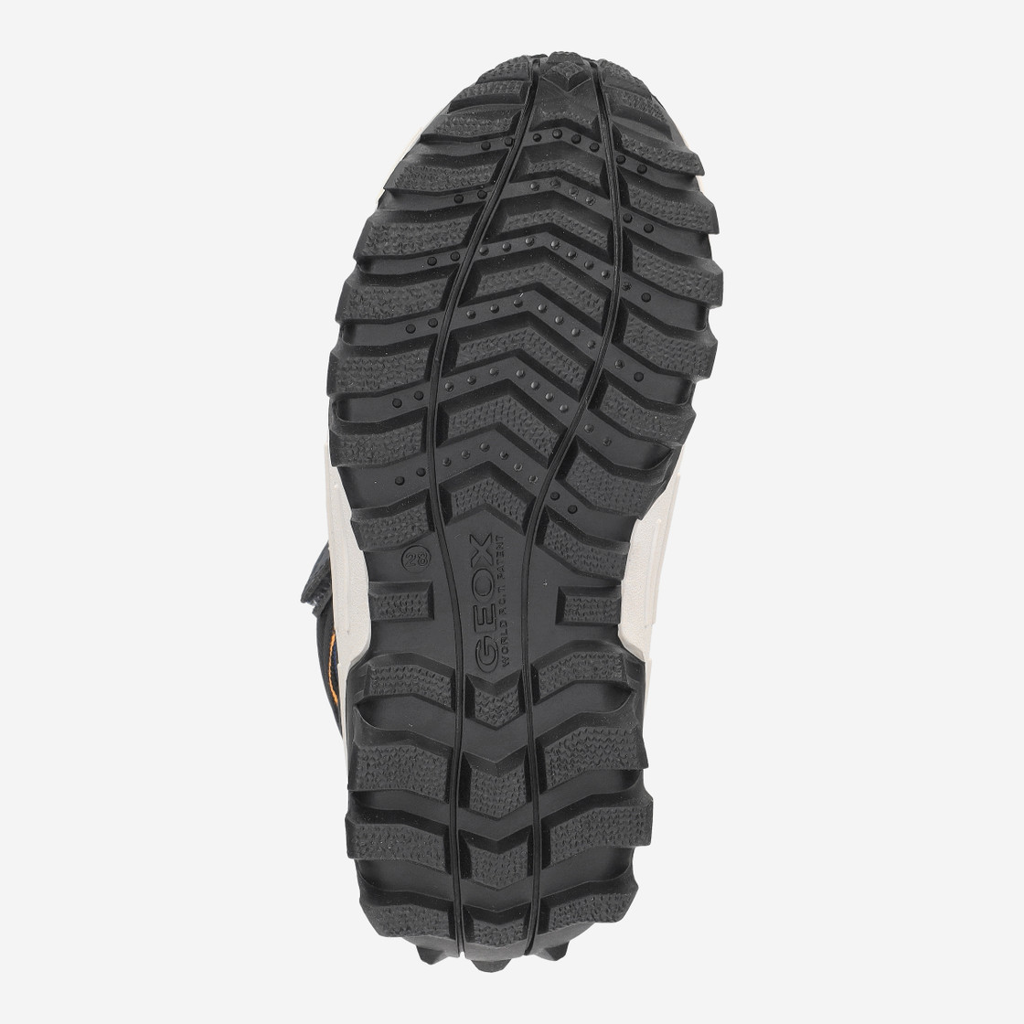 Geox HIMALAYA - Blau - Draufsicht