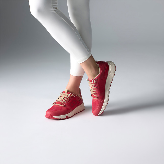 tenhaag stormhaag WP - Rot - Sonderbild