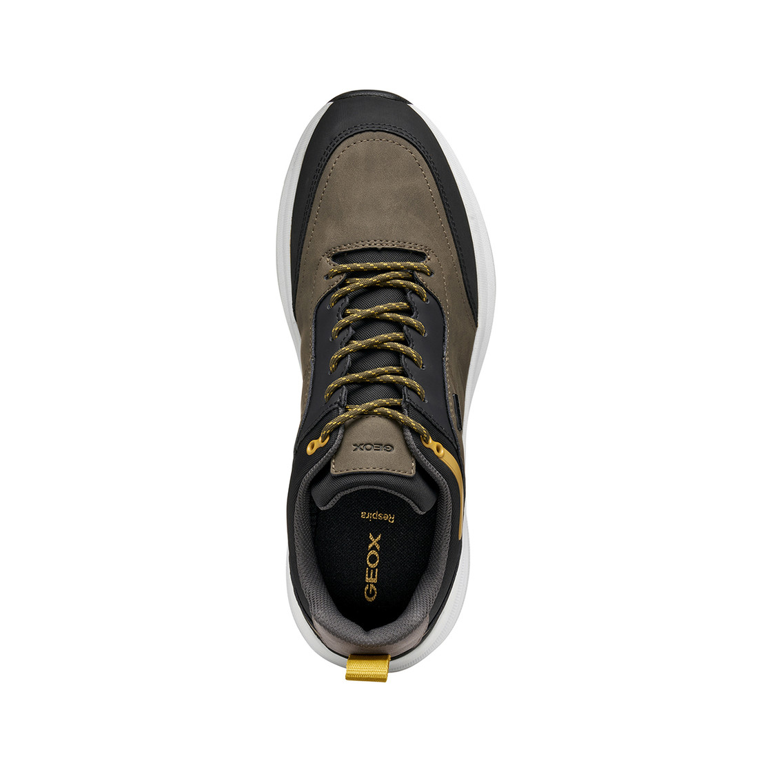 Geox SENALES - Braun - Sohle