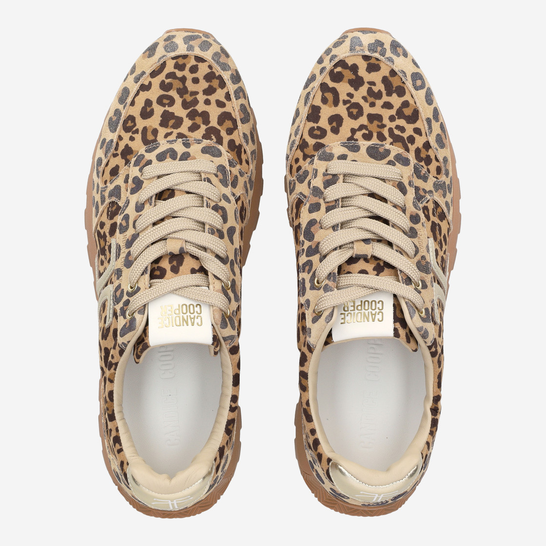 Candice Cooper PLUME 5 - Braun / Leo-Look - Sohle