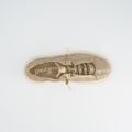 Paul Green 5418-088 - Beige, gold-metallik - Sohle