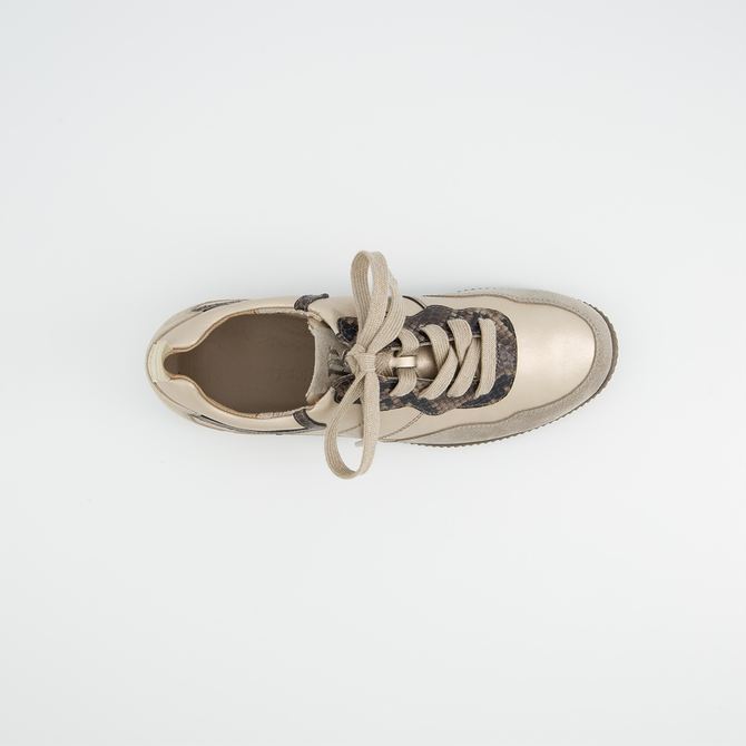 Paul Green 5489-088 - Gold - Sohle