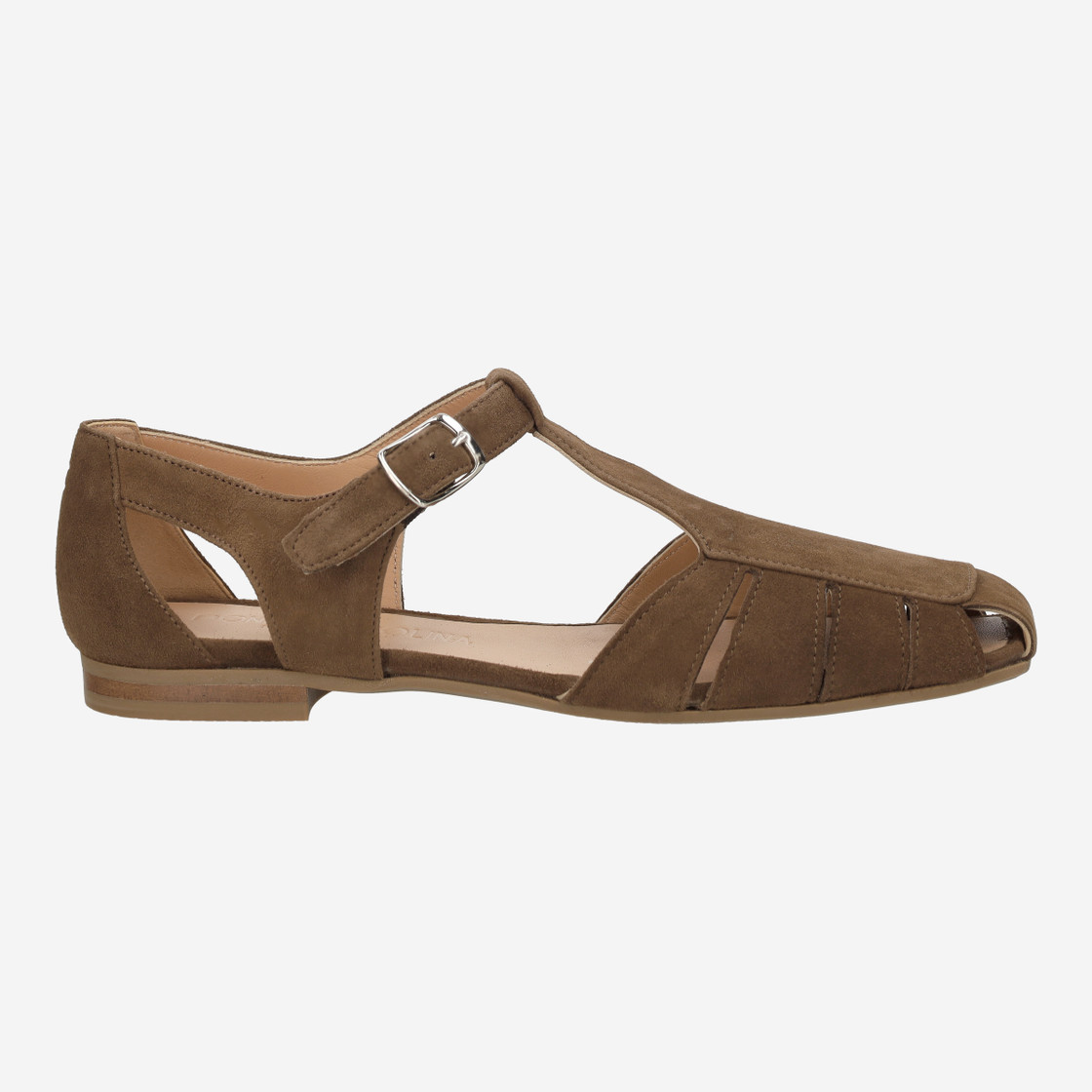 Donna Carolina ALGI WEB - Braun - Rückansicht