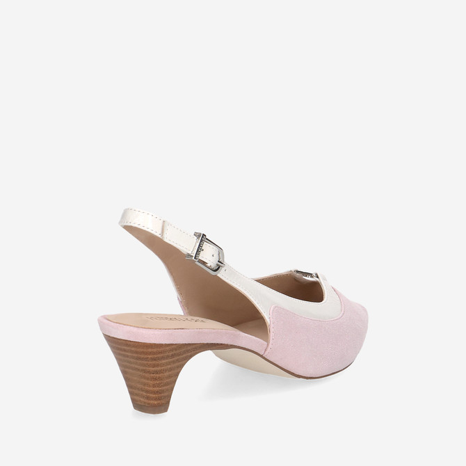  79504 - Rose (Pastell) - Seitenansicht