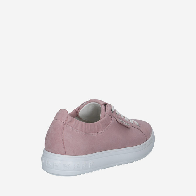  73769 - Rose - Seitenansicht