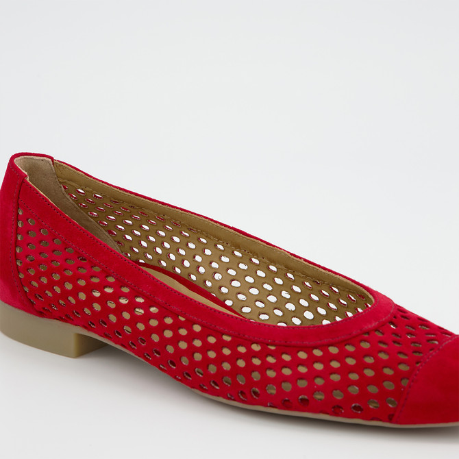 Paul Green 1215-029 - Rot