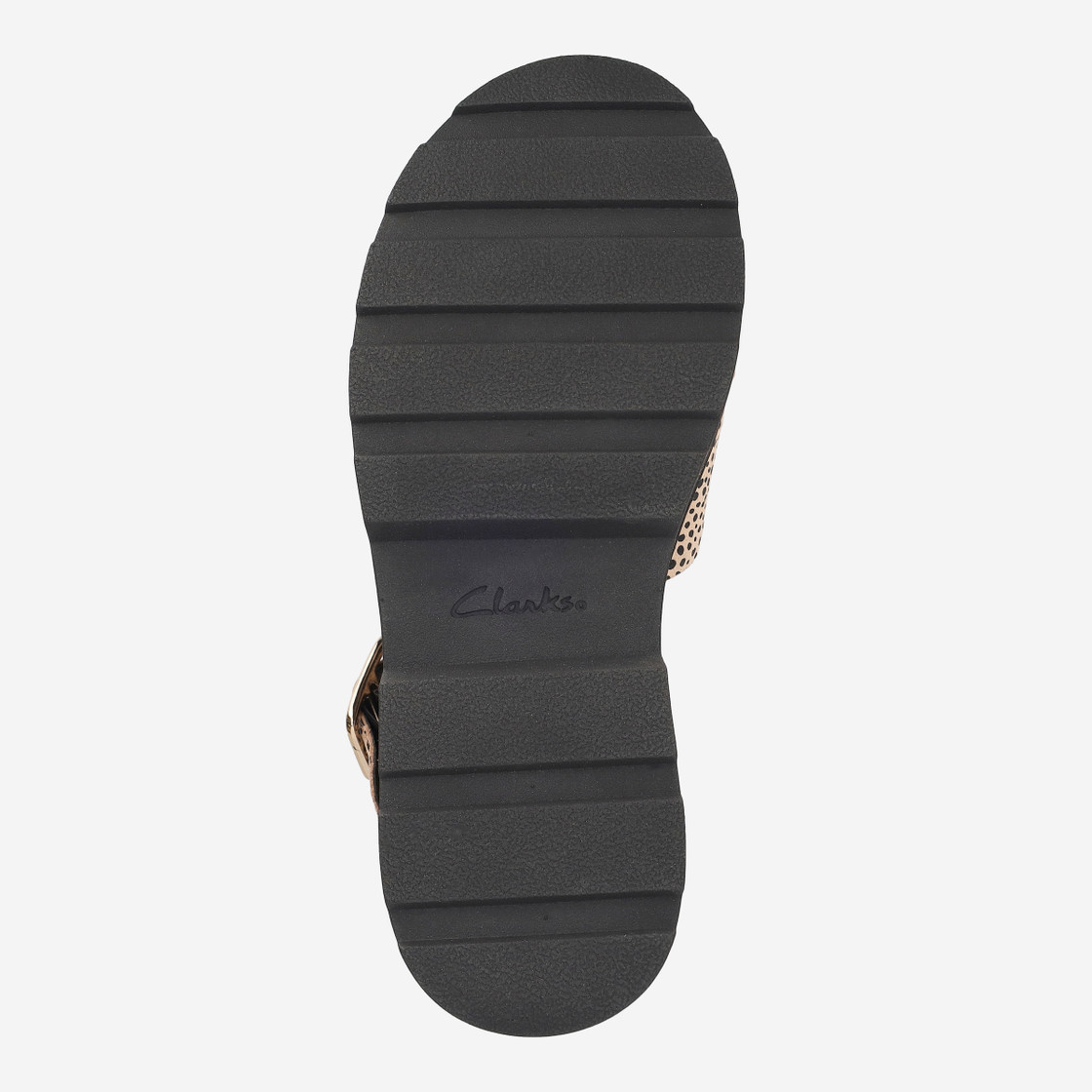 Clarks Orinoco3 Cross - Beige kombiniert - Draufsicht