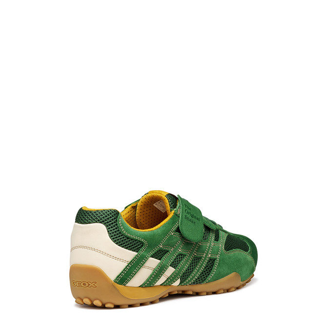 Geox SNAKE - Grün - Sonderbild