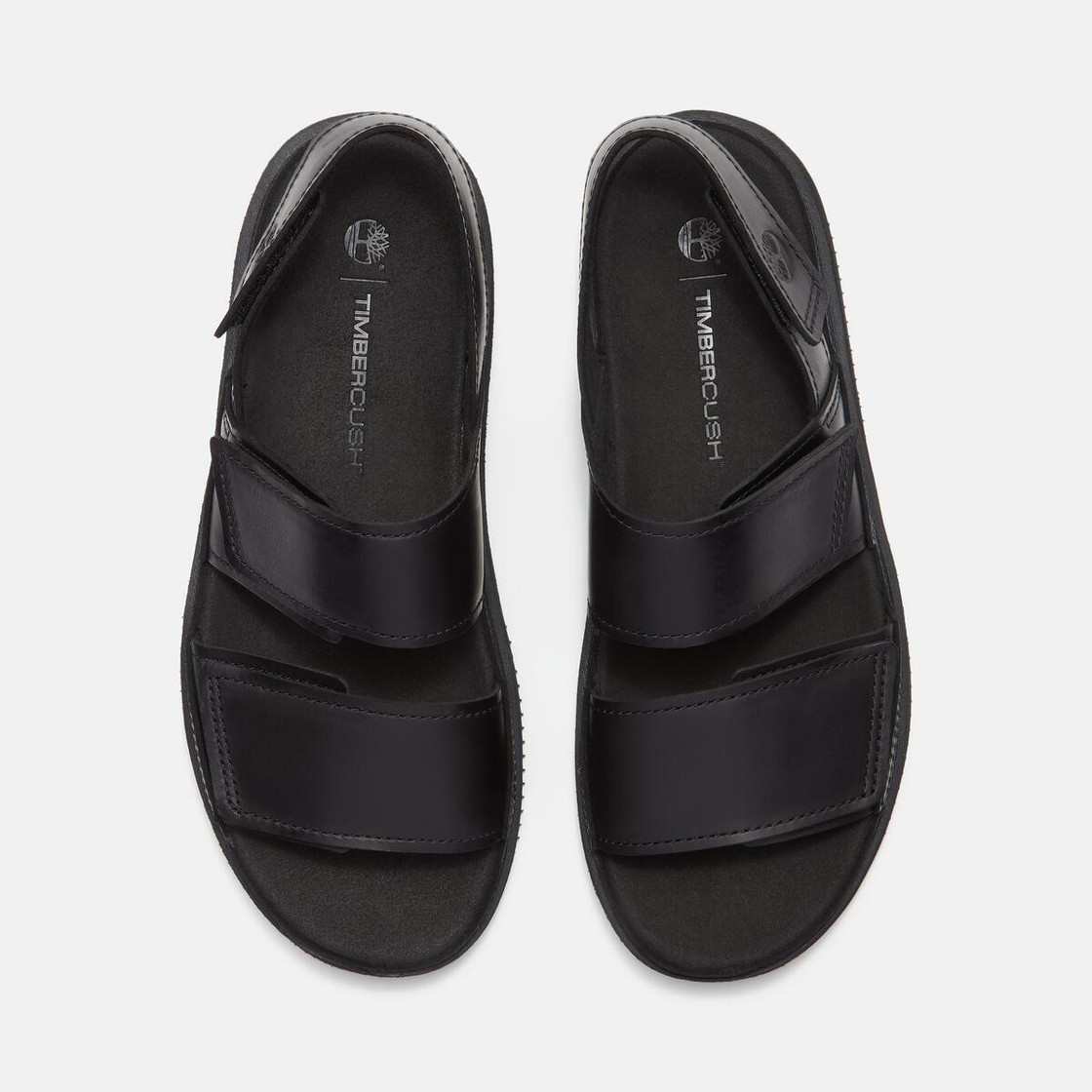 Timberland A26X8 CASCO COVE - Schwarz - Sohle