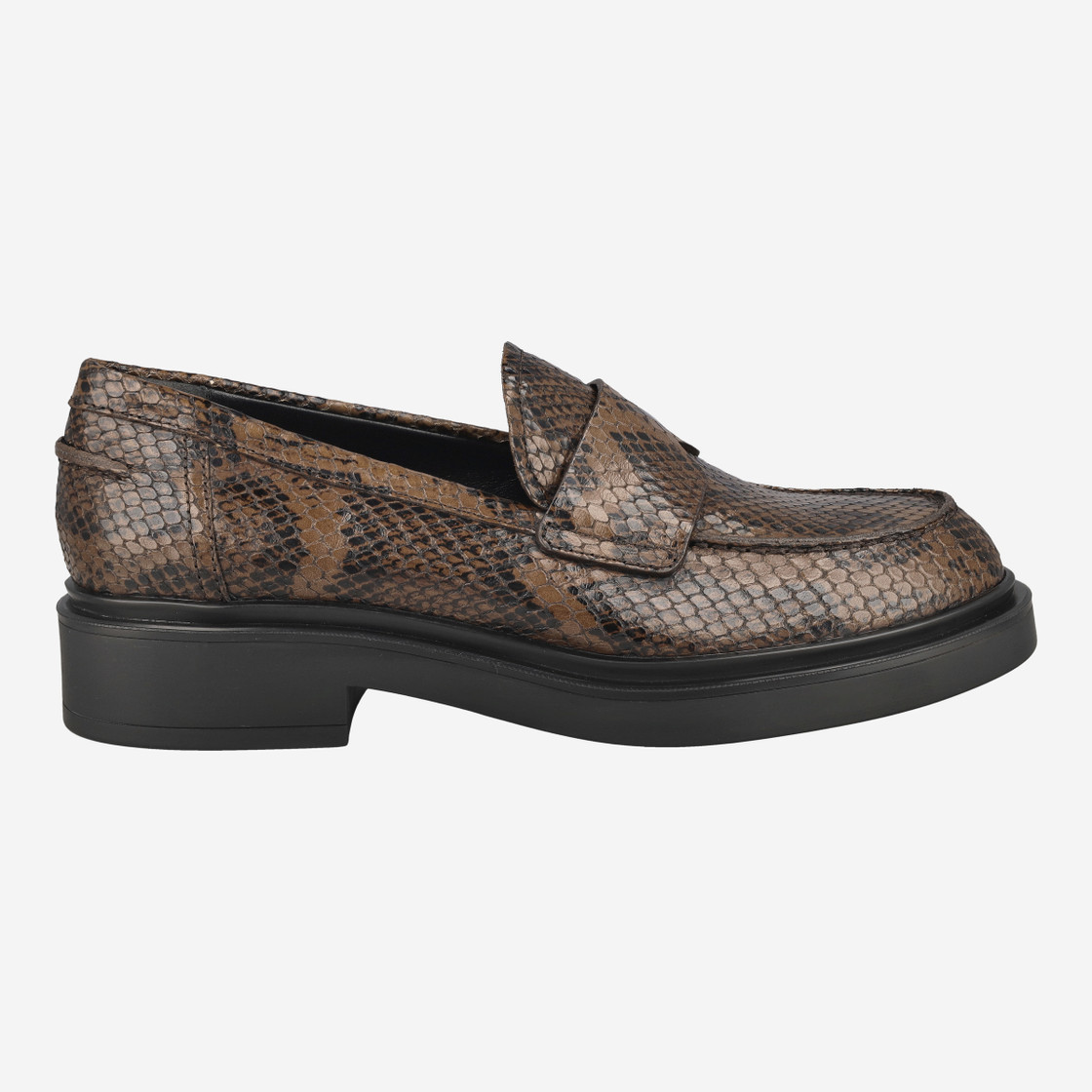 Attilio Giusti D835041 - Braun / Reptil - Rückansicht