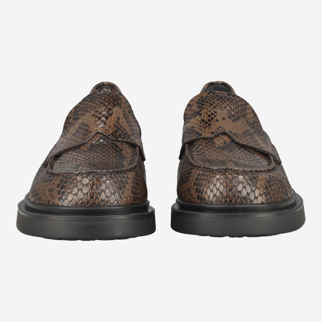 Attilio Giusti D835041 - Braun / Reptil - Frontansicht