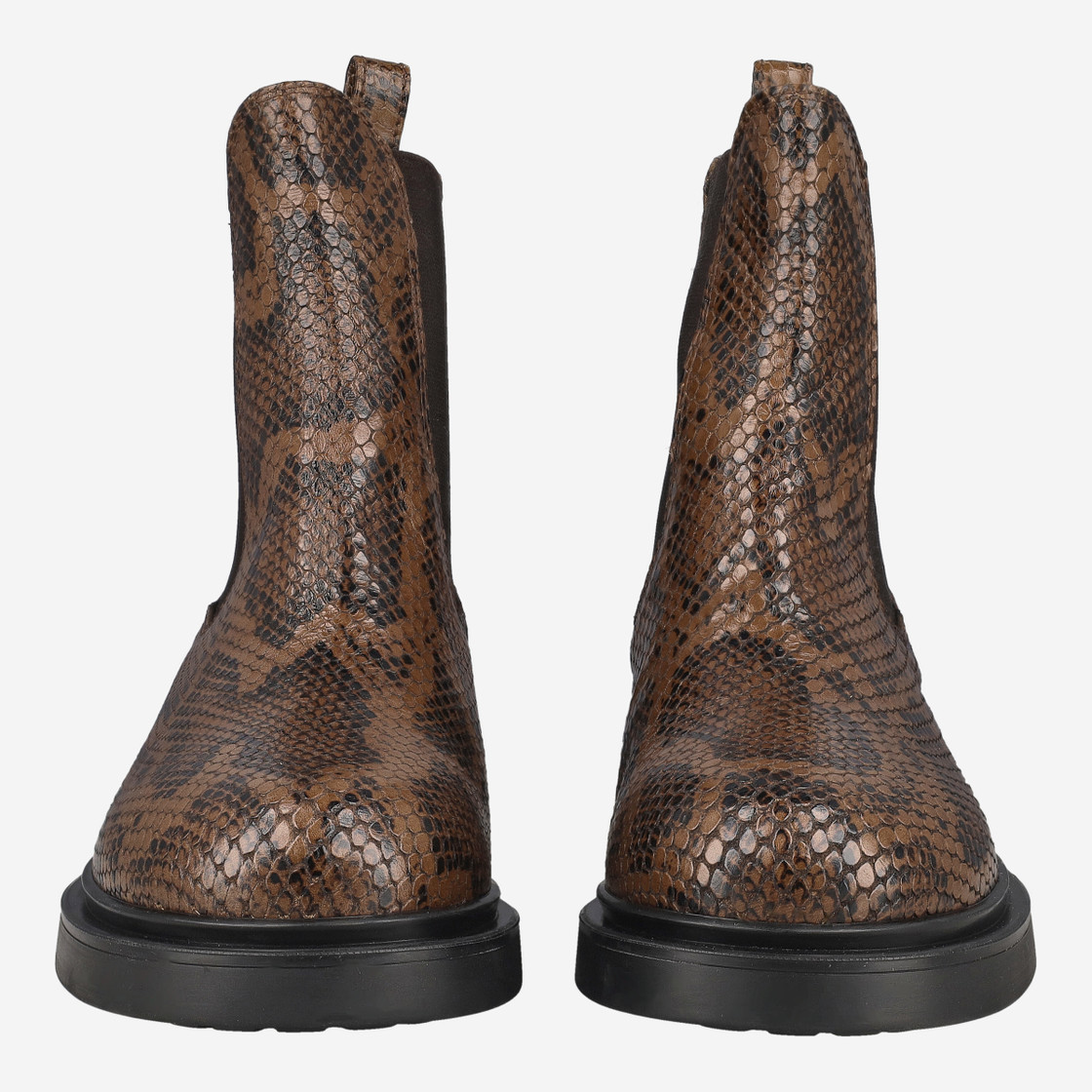 Attilio Giusti D786507 - Braun / Reptil - Frontansicht