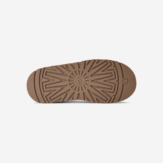 UGG australia TAZZ II - Braun - Draufsicht