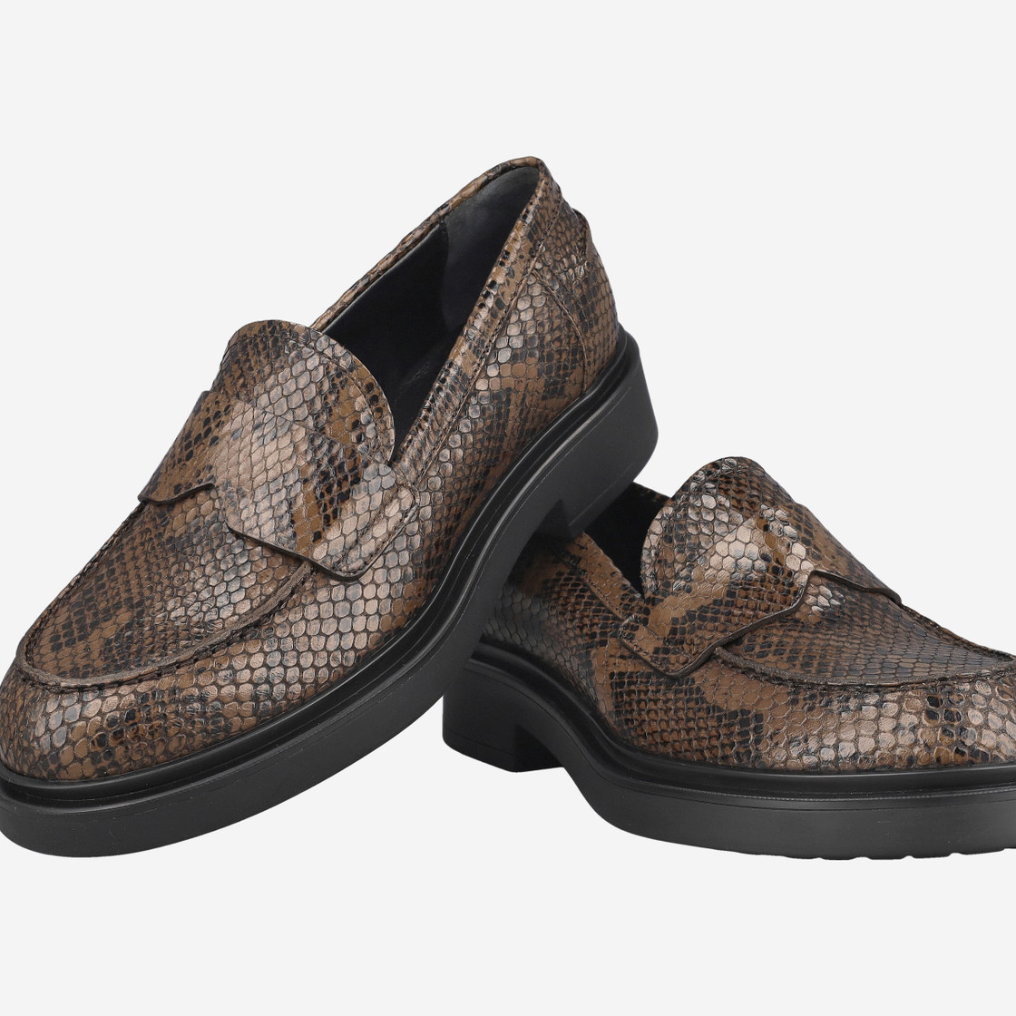Attilio Giusti D835041 - Braun / Reptil - Sonderbild
