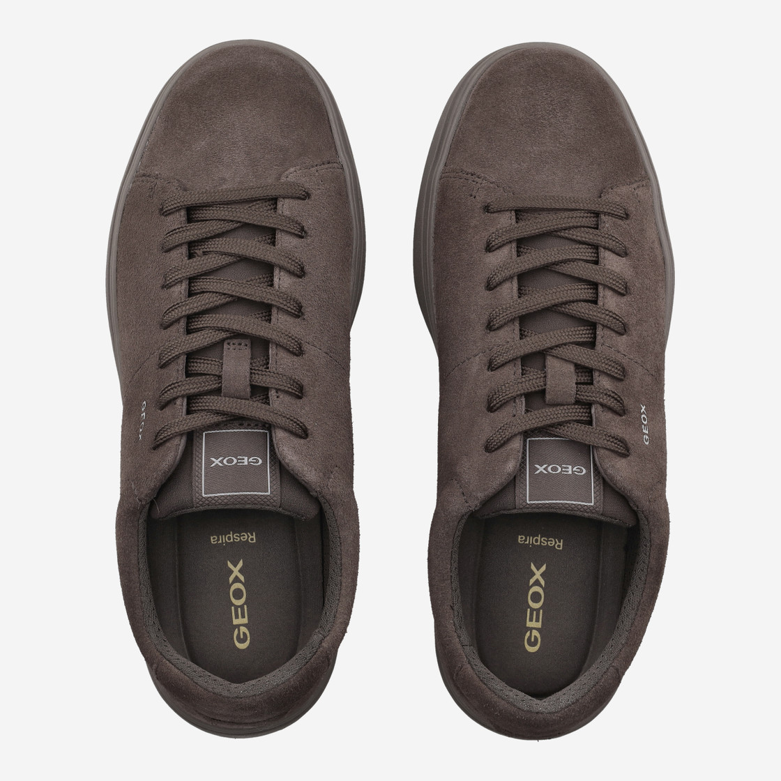 Geox BALTMOORE - Braun - Sohle