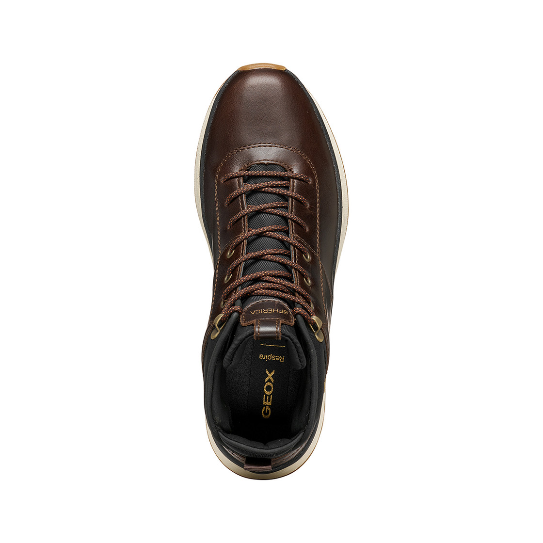 Geox SPHERICA ACTIF X2 - Braun, dunkel - Sohle