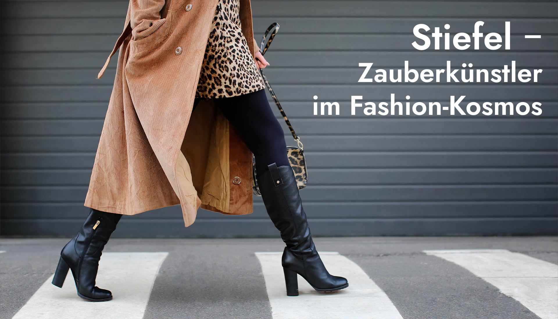 Neu im Magazin